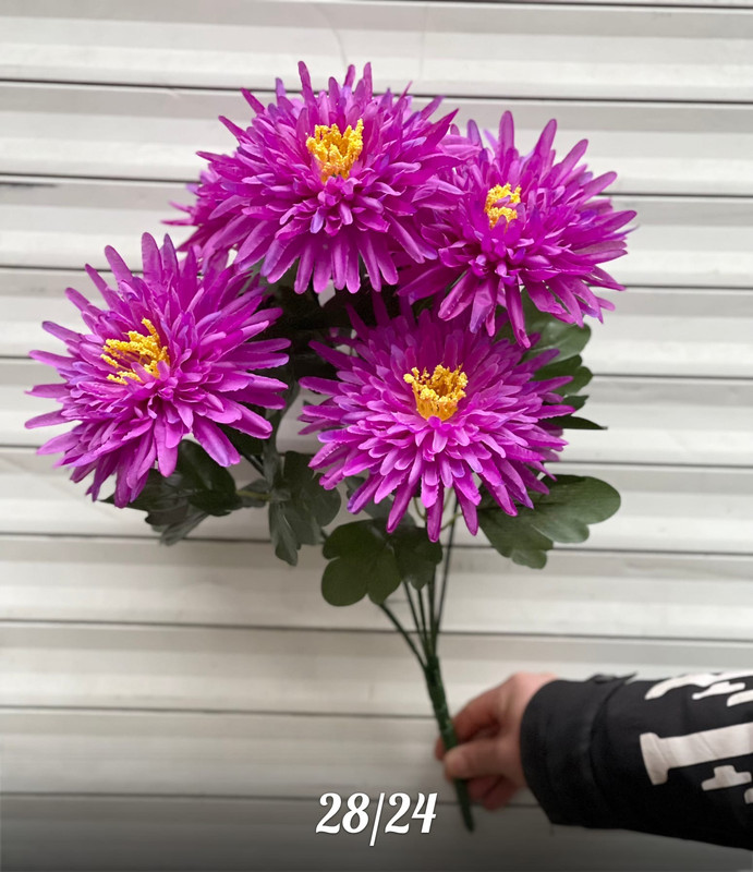 https://i.postimg.cc/tCzSpSFH/5-b-m-ORHec.jpg