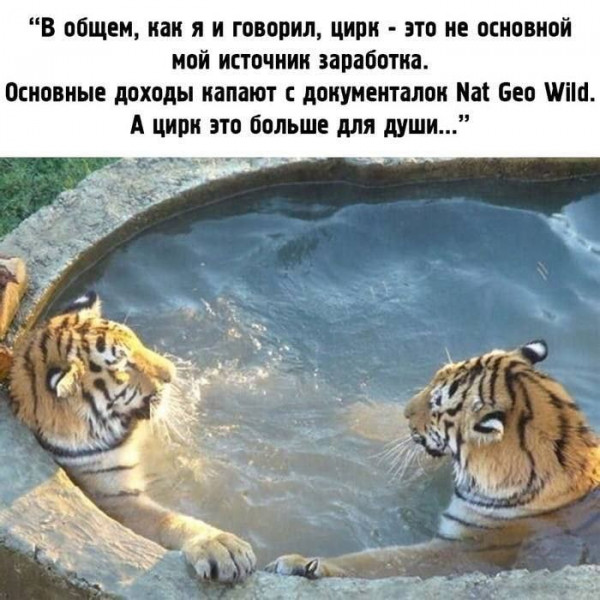 17181659.jpg