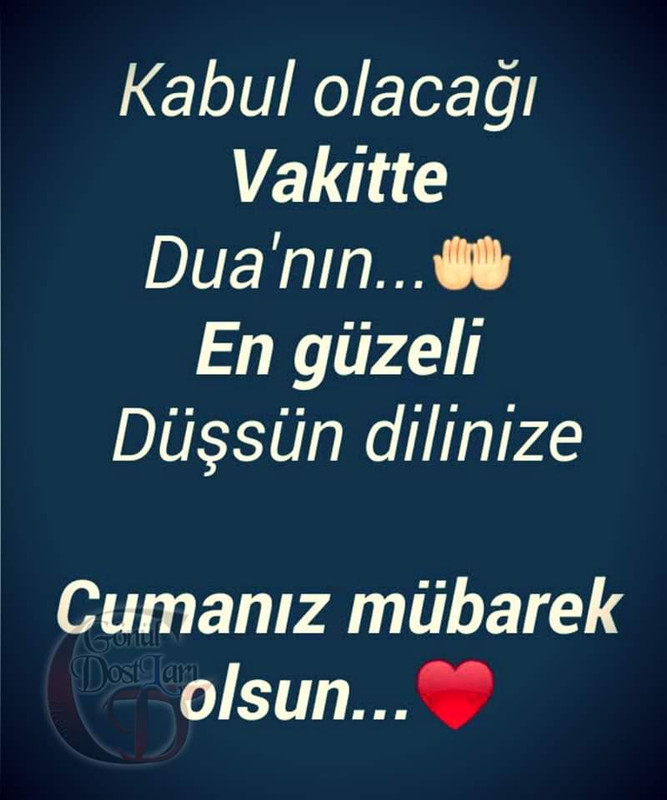 FB IMG 1724359184005