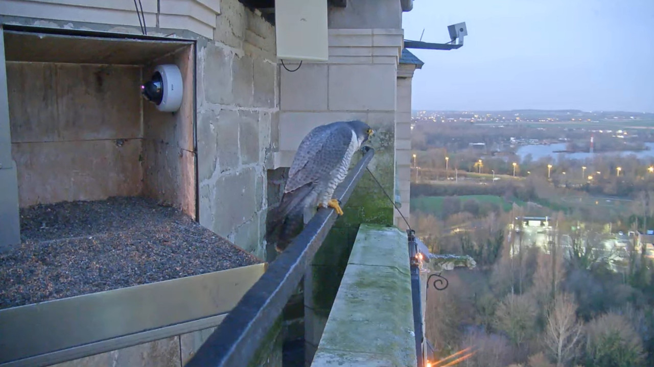 Oudenaarde. (Jay en Ula.) Bria en Grey 2023-02-01-125814
