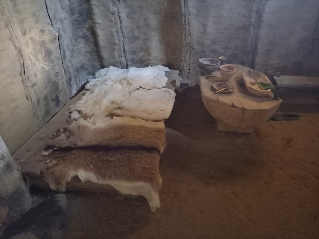 05.17c - 20220617_151159 (TomaszL)