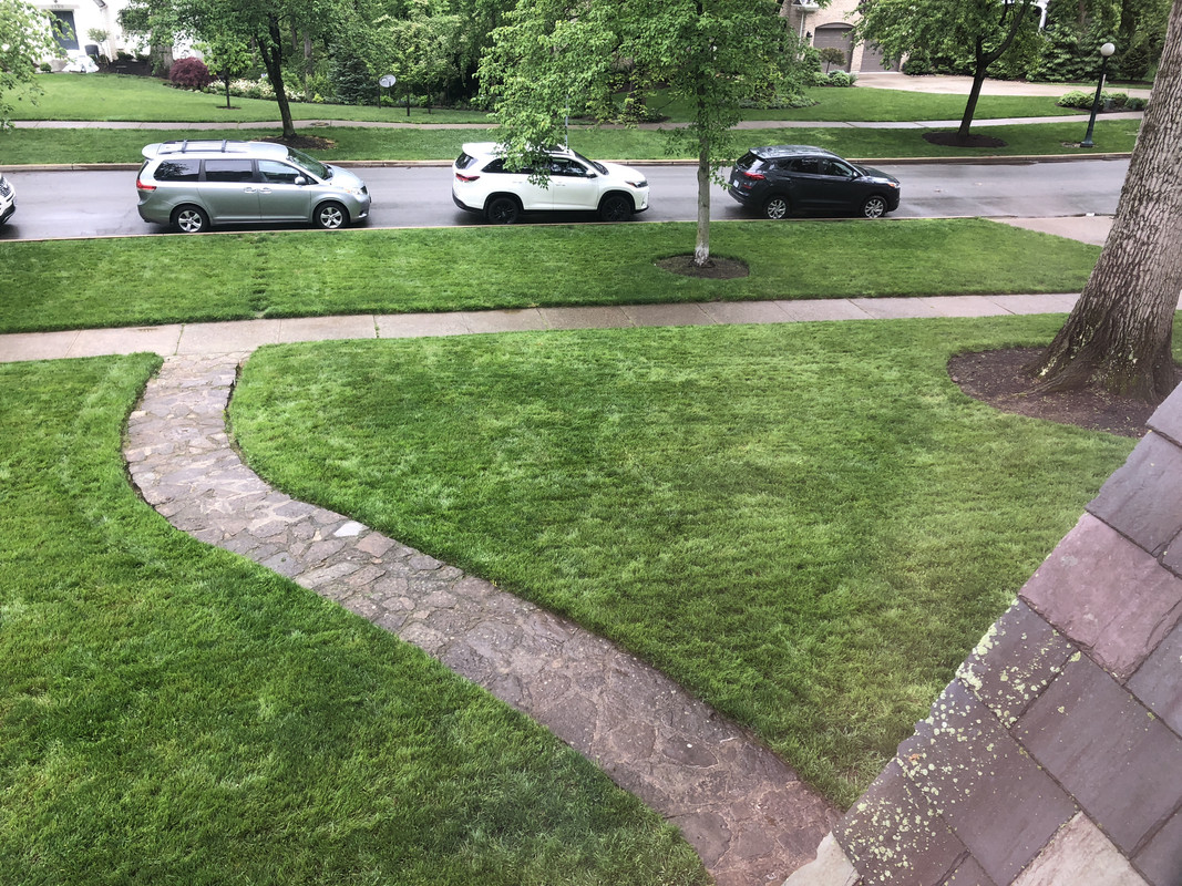 D078E38F-A8A6-4DB8-9429-1B3B40DB146F