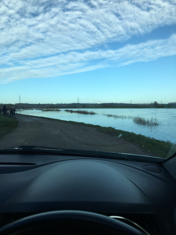 54A1747F-4FFF-45BC-817C-8B39CFBCCDD5