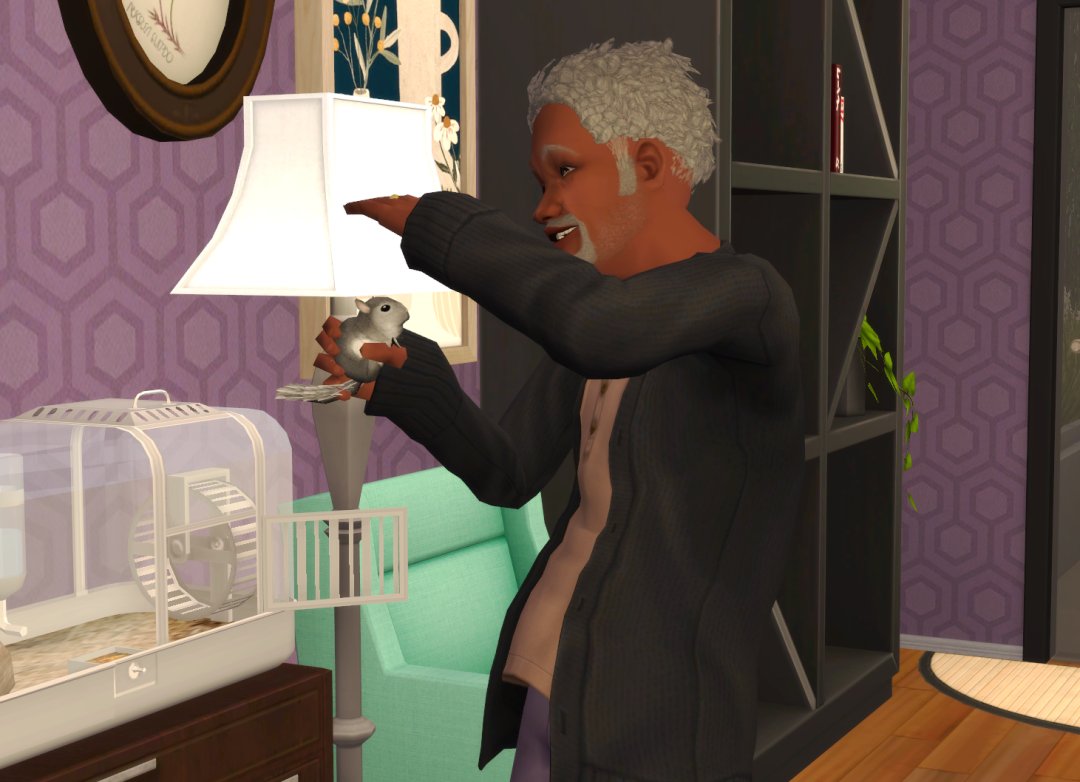 Sims2-EP9-RPC-2024-03-24-20-52-43-02