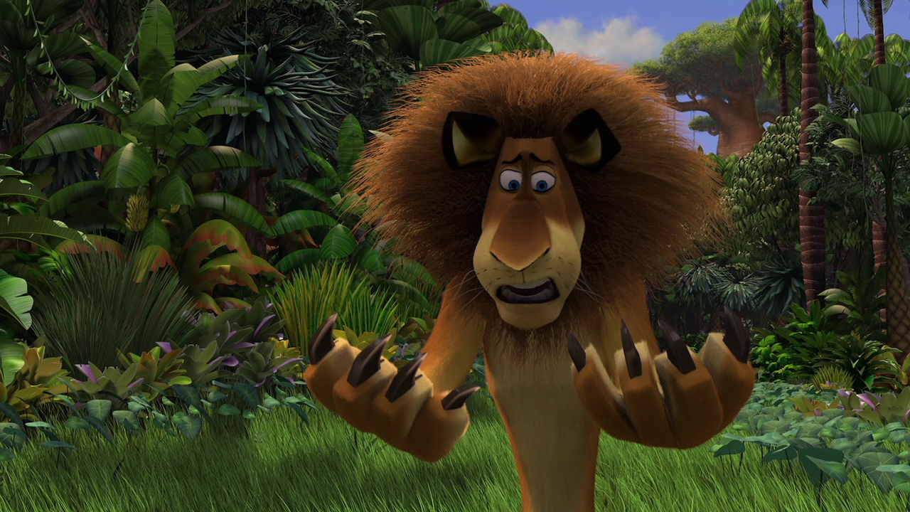 vlcsnap-2024-02-13-17h49m25s053