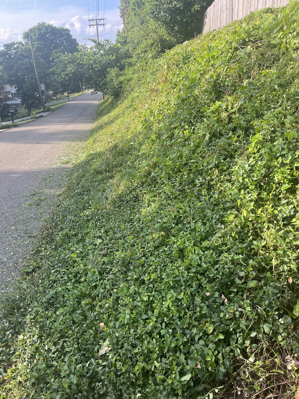 IMG-0839.jpg