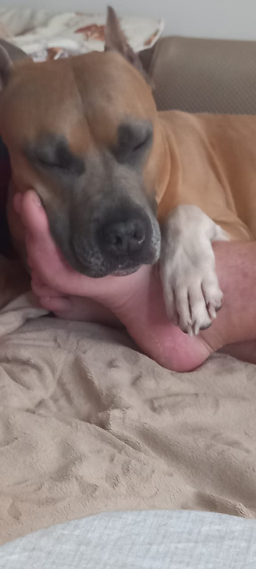 AD394225-B99C-46E6-AEF0-0253F29AD73F