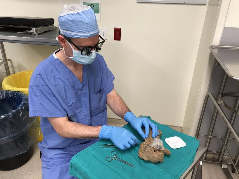 Canadian surgeon operates on a teddy bear on a special request Canadian surgeon operates on a teddy bear on a special request