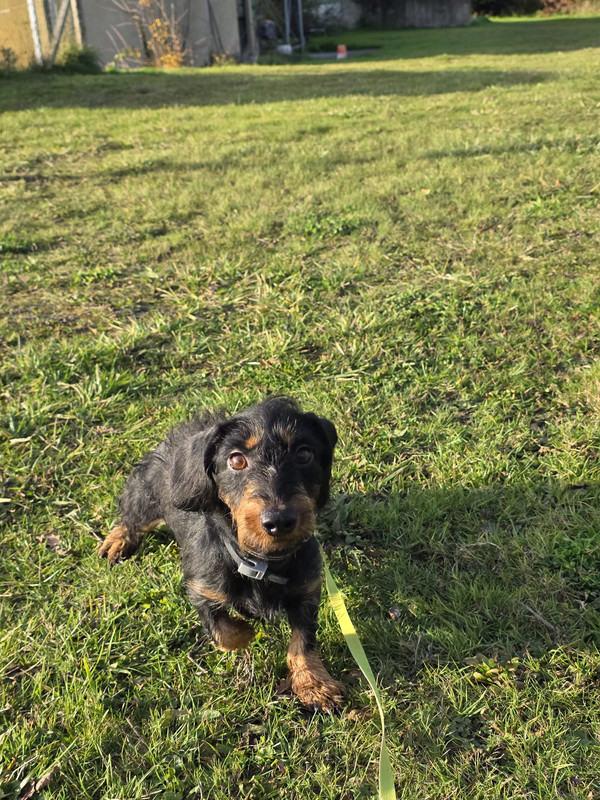 [Image: IMG-20251111-WA0025.jpg]