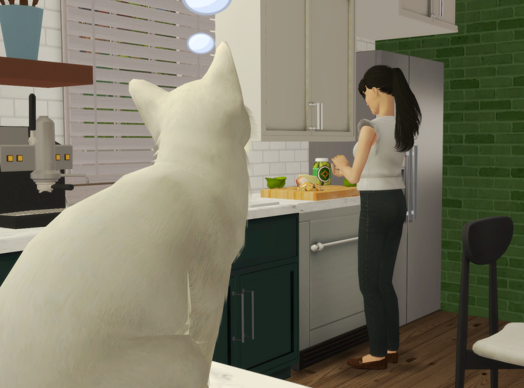 Sims2-EP9-RPC-2023-12-15-22-45-24-04