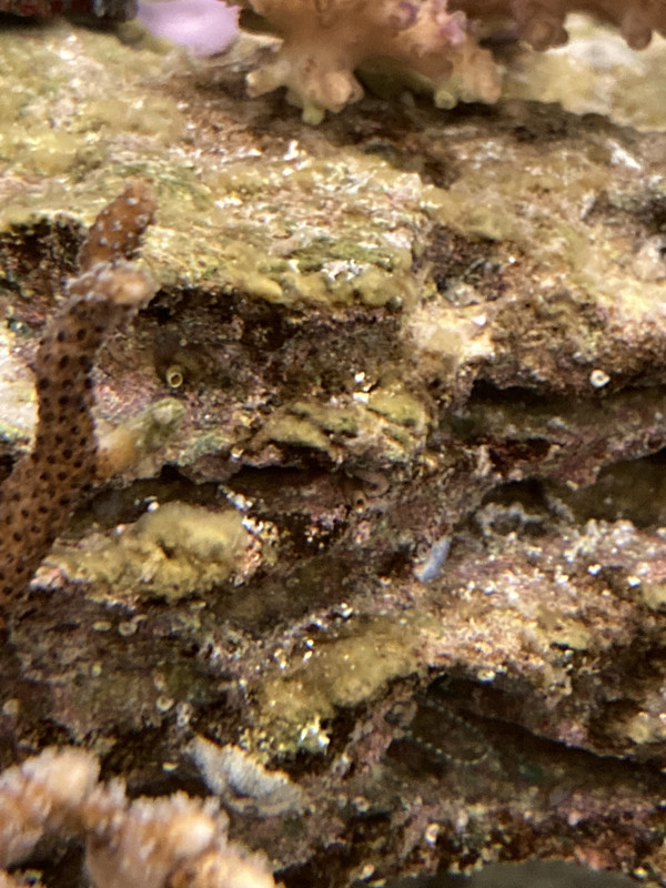 4997F027-3618-4B9F-950C-85DA2DCCEB62