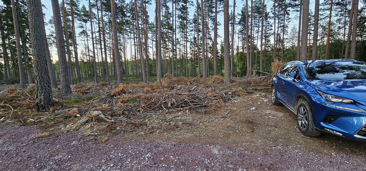20230708-220907.jpg