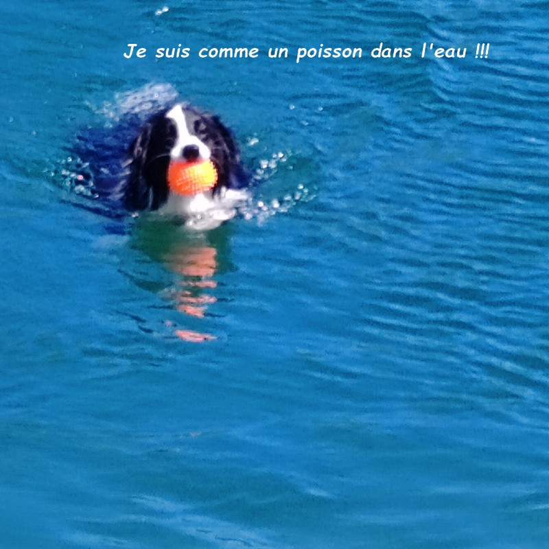 IMG 20260520 124627bb