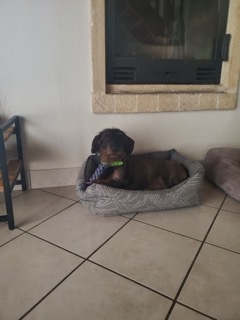 [Image: IMG-20241129-175508.jpg]