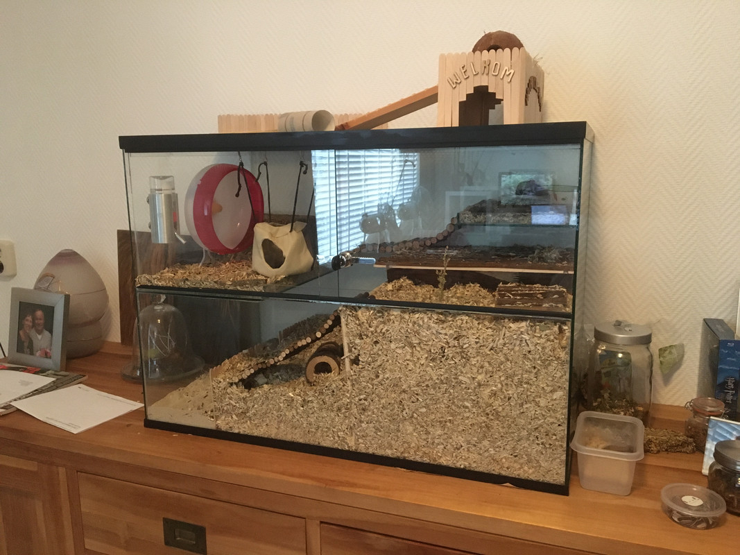 A297C1B8-838E-4AA8-A0CC-2C6C34B7C748