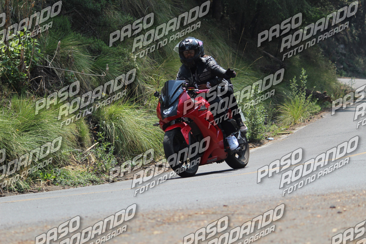 IMG 9822 wm 122766 29999999993 watermarked — Postimages