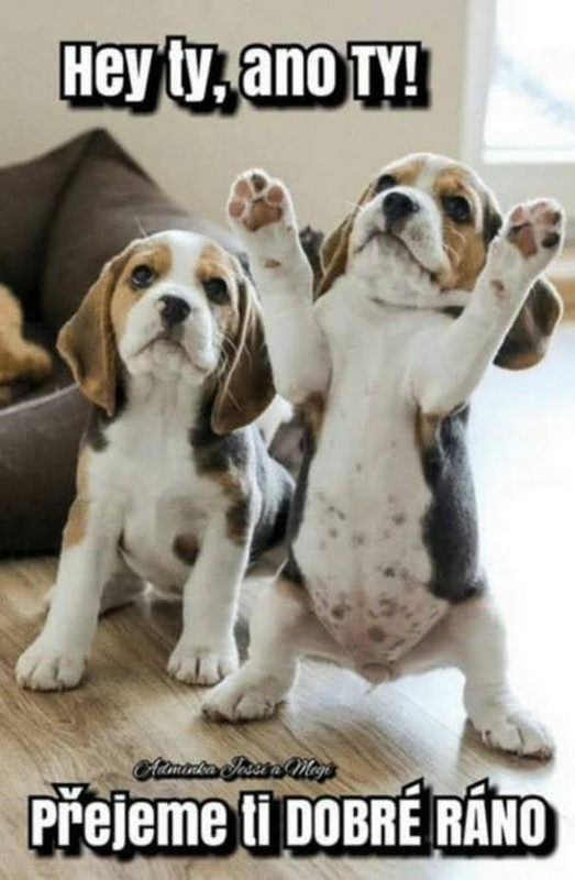 454639535_996092945548617_2902798444524017558_n