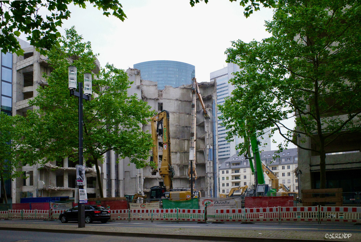 R0012333a.jpg