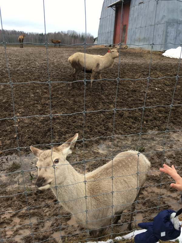 DAF0A7FE-1B1F-454D-8878-3246DEBBD45E