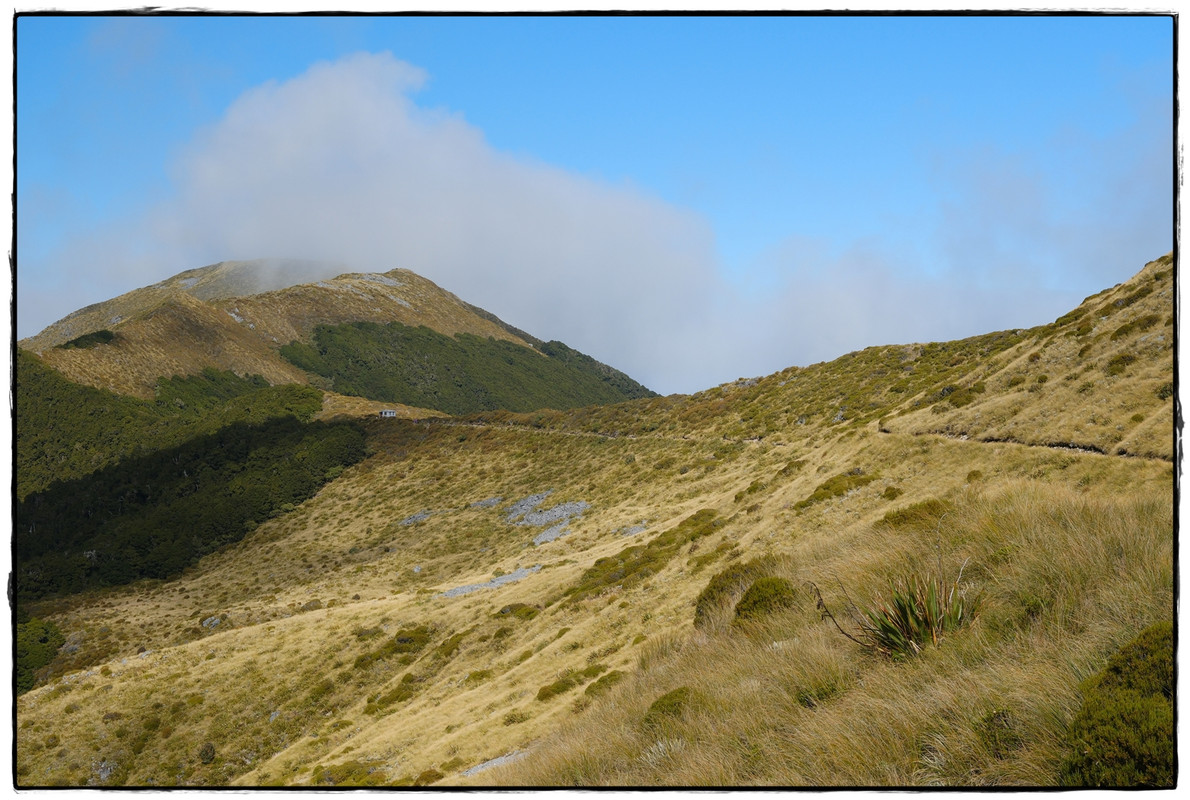 The Old Ghost Road (marzo 2024) - Escapadas y rutas por la Nueva Zelanda menos conocida (26)