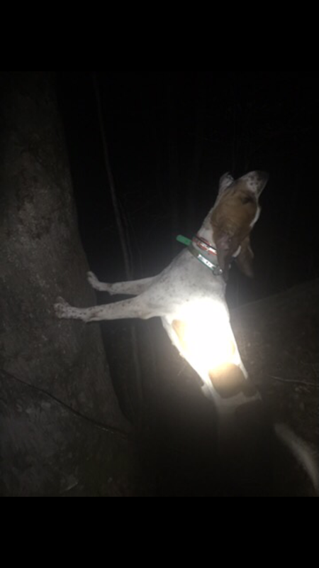 5D961365-4EA0-4057-856B-EA57E4F75F73