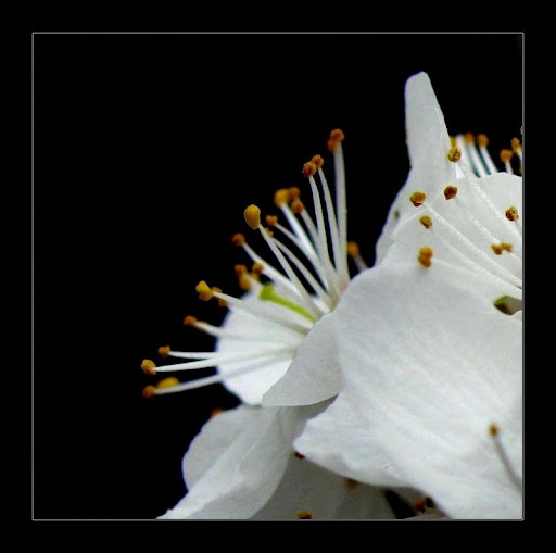 d2ceb95c6fe6d4213a4566db1bad9f11.jpg