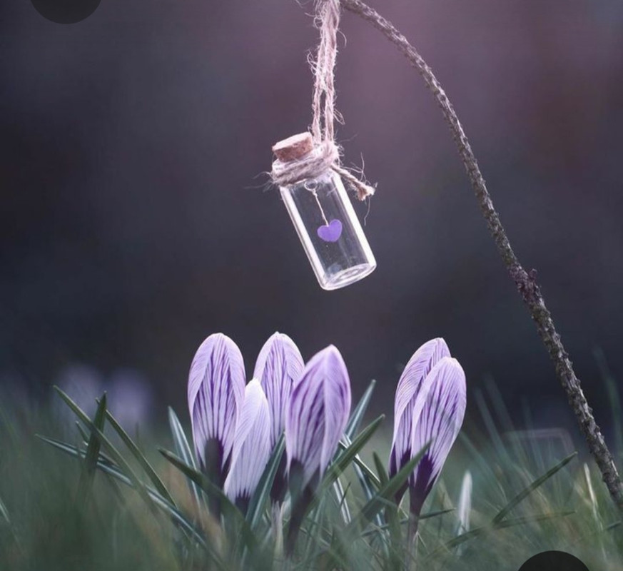 Screenshot_20230409_223853_Pinterest