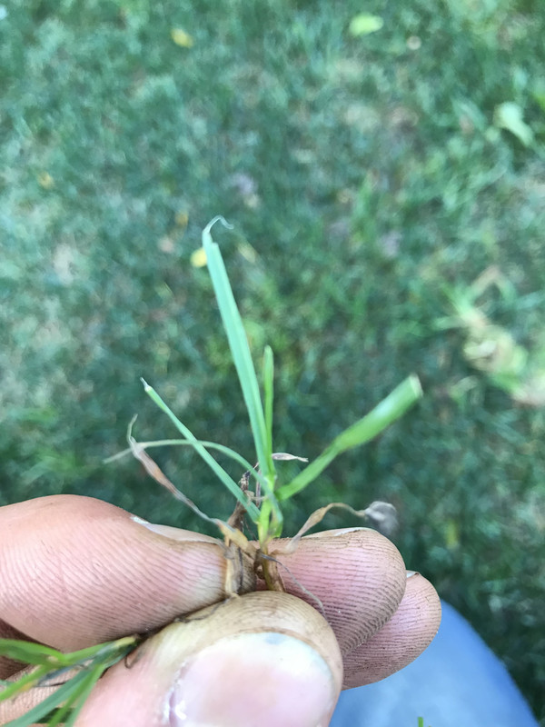 4F8CF81D-C2DC-4A91-8AF6-51F7FB8A2D19