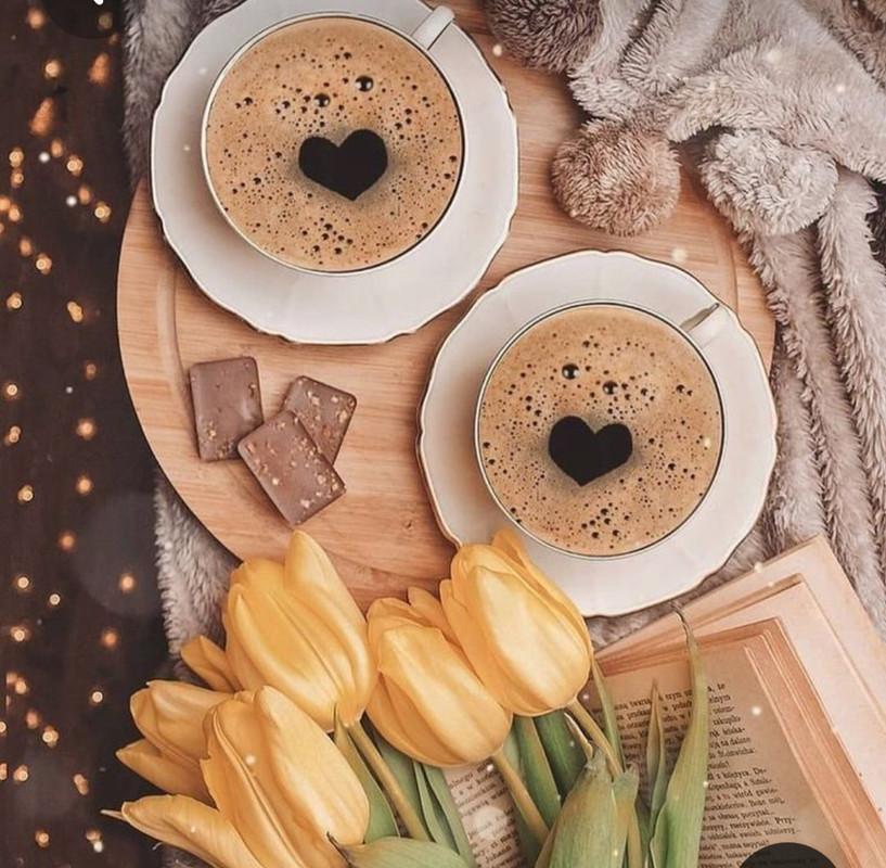 Screenshot_20230219_201703_Pinterest