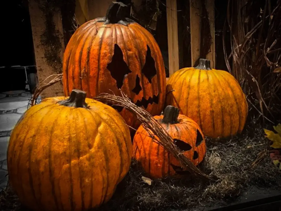 Pumpkins 0050