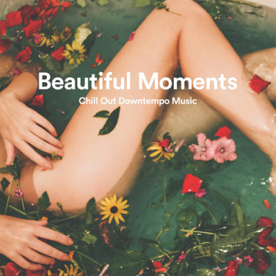 VA - Beautiful Moments - Chill Out Downtempo Music (2019)