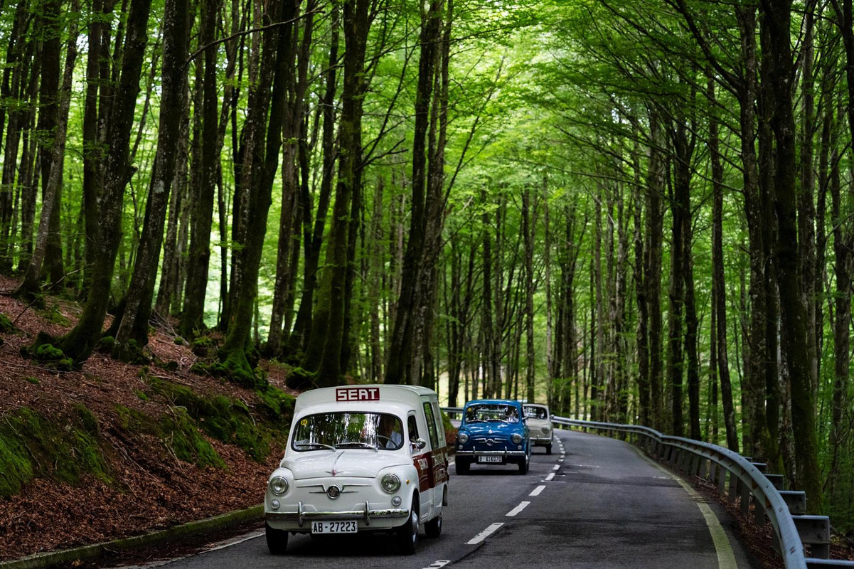 1000044513