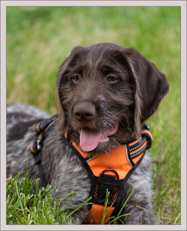 Ed1200-4x5Clover 6-10-2019_0039