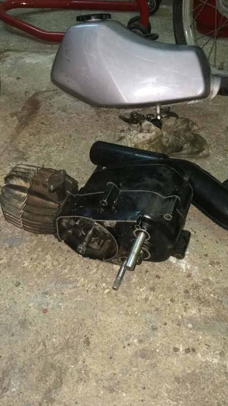 19883710_1810096385674106_269286272_n