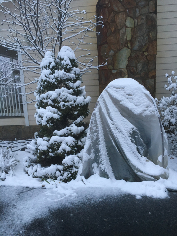 2A1E9CBF-298B-4514-A801-19CF429BDD1F