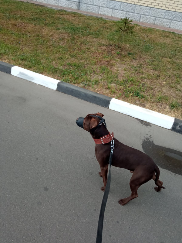 EE6FED7F-70DA-4AEF-B249-88C661D26DA7