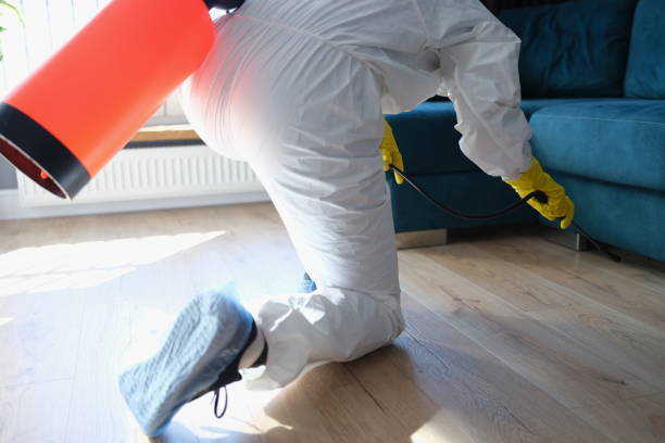 pest-control-5.jpg
