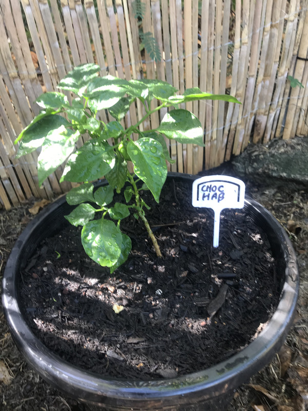 C5AC5E07-EA06-4A91-A15A-1A2FB8F223DA