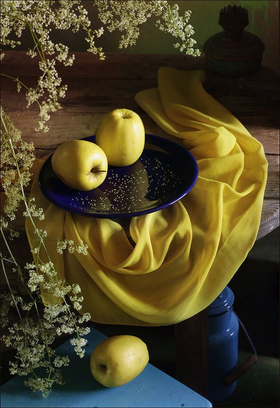 yellowapplesandcloth.jpg