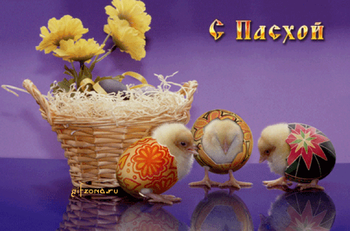 g-f-i-if-M-gif-S-gif-S-gif-S