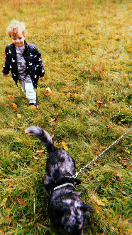 angelcandices~1555957053~2027837211420161566_43114731