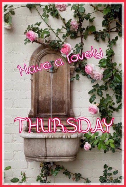 THURSDAY-jeudi-37