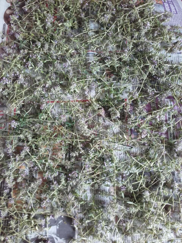 viber_изображение_2019-06-01_13-43-13