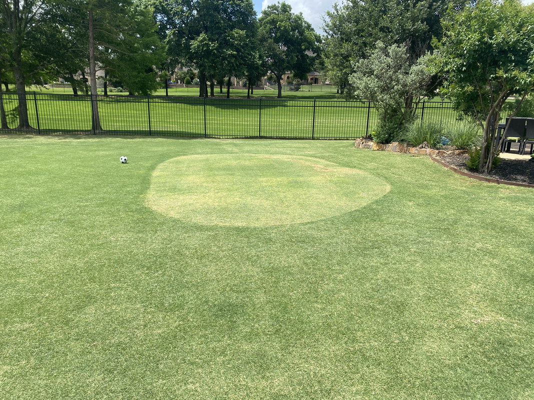 38C7B29D-C75B-4034-B981-13ACCD51C5E7