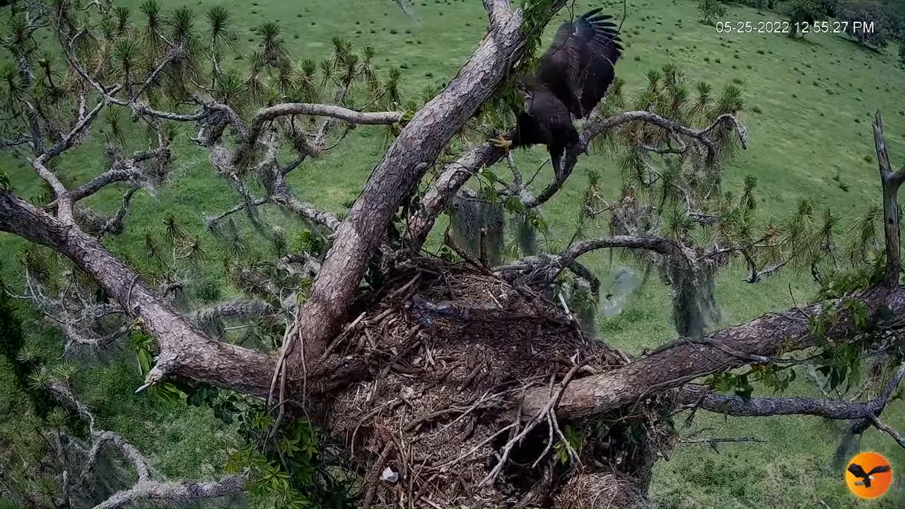 EC 4K Overhead Cam 11-54-3 screenshot