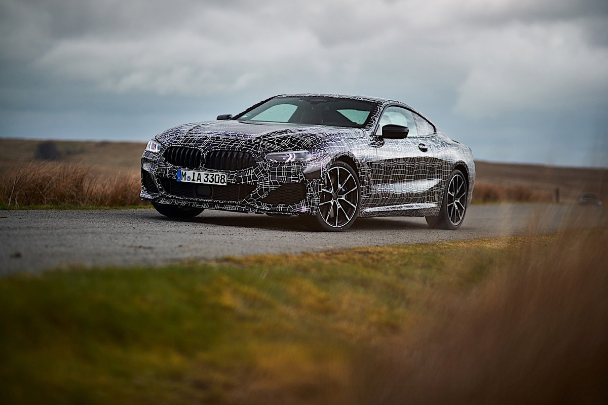 BMW 8 Series Coupe (36)