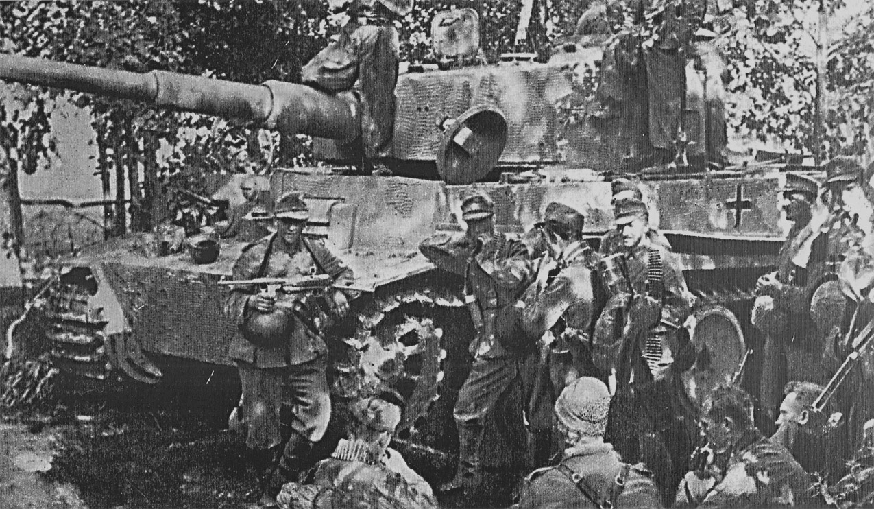 Tiger I (1) Ground Power 2001-02-125