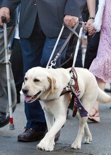 Seeing-eye-dog-2.jpg