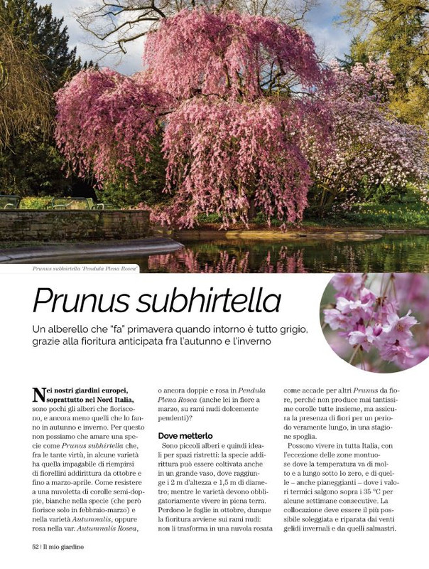 Il Mio Giar Nov-Dic 2021 (4)