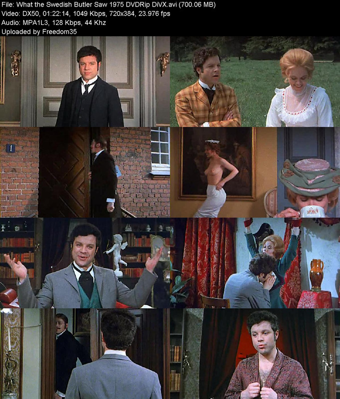 What The Swedish Butler Saw 1975 DVDRip Di VX REQ Postimages